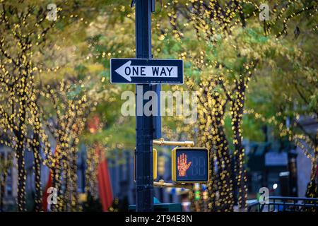 Feux de circulation piétons et à sens unique dans les rues de New York. Banque D'Images