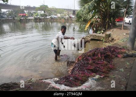 Dhaka Bangladesh,23 novembre 2023,un vendeur de légumes bangladais a lavé des légumes verts dans une eau polluée à dhaka.cette photo a été prise par kuril purba Banque D'Images