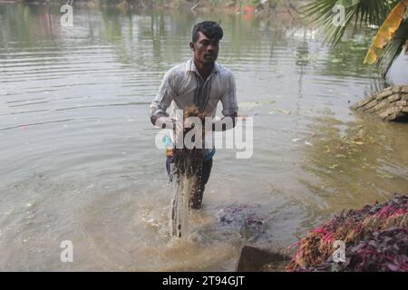 Dhaka Bangladesh,23 novembre 2023,un vendeur de légumes bangladais a lavé des légumes verts dans une eau polluée à dhaka.cette photo a été prise par kuril purba Banque D'Images