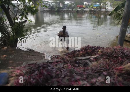 Dhaka Bangladesh,23 novembre 2023,un vendeur de légumes bangladais a lavé des légumes verts dans une eau polluée à dhaka.cette photo a été prise par kuril purba Banque D'Images