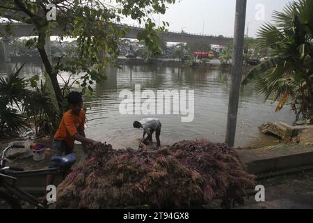 Dhaka Bangladesh,23 novembre 2023,un vendeur de légumes bangladais a lavé des légumes verts dans une eau polluée à dhaka.cette photo a été prise par kuril purba Banque D'Images