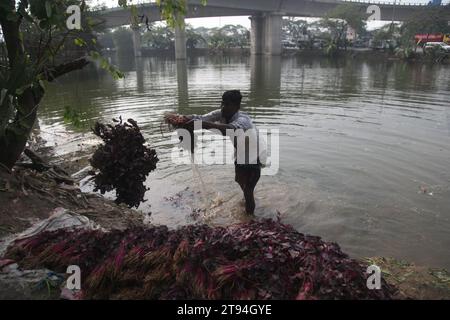 Dhaka Bangladesh,23 novembre 2023,un vendeur de légumes bangladais a lavé des légumes verts dans une eau polluée à dhaka.cette photo a été prise par kuril purba Banque D'Images