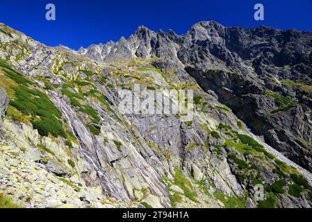 Mala Studena Dolina à Vysoke Tatry (Tatras Mountains), Slovaquie. Banque D'Images