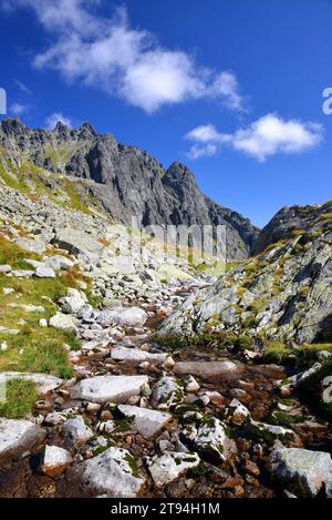 Velicka Valley in Vysoke Tatry (Tatras Mountains), Slovaquie. Banque D'Images