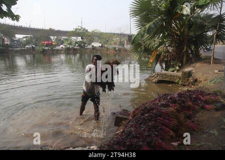 Dhaka Bangladesh,23 novembre 2023,un vendeur de légumes bangladais a lavé des légumes verts dans une eau polluée à dhaka.cette photo a été prise par kuril purba Banque D'Images