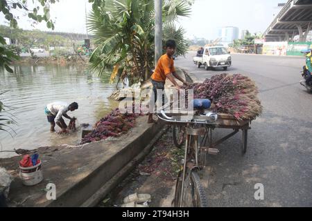 Dhaka Bangladesh,23 novembre 2023,un vendeur de légumes bangladais a lavé des légumes verts dans une eau polluée à dhaka.cette photo a été prise par kuril purba Banque D'Images