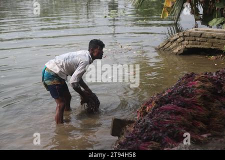 Dhaka Bangladesh,23 novembre 2023,un vendeur de légumes bangladais a lavé des légumes verts dans une eau polluée à dhaka.cette photo a été prise par kuril purba Banque D'Images