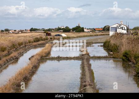 Noirmoutier, France - juillet 27 2017 : étangs d'évaporation du sel sur l'île de Noirmoutier en Vendée, France. Banque D'Images