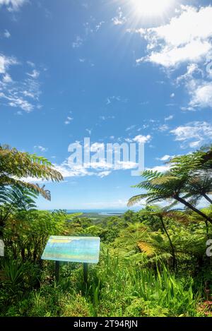 Walu Wugirriga Lookout, Queensland, Australie - également connu sous le nom de Mount Alexandra Lookout c'est un endroit idéal pour voir le Daintree Banque D'Images