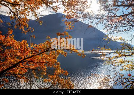 Vue imprenable sur les feuilles d'automne Coolor sur le lac de Lugano depuis le sentier des oliviers (banlieue de Lugano) et l'eau du lac et le soleil brillant dans le ciel et l'eau. Suisse Banque D'Images