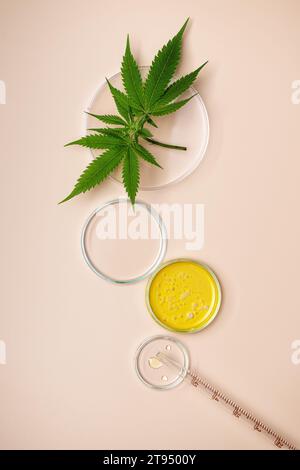 Médecine alternative à base de plantes de chanvre. Huile de CBD dans la boîte de Petri vue de dessus. Produits cosmétiques à base de plantes de cannabis. Banque D'Images