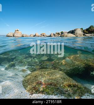 Paysage marin de l'océan Atlantique, rochers avec le ciel bleu et un banc de poissons (dorade) sous l'eau, scène naturelle, vue partagée sur et sous la surface de l'eau, Espagne Banque D'Images