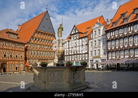 Place du marché historique avec Rolandbrunnen, Baeckeramtshaus et Knochenhaueramtshaus, Allemagne, Basse-Saxe, Hildesheim Banque D'Images