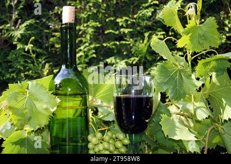 bouteille de vin blanc, verre de vin rouge et feuilles Banque D'Images