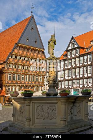 Place du marché historique avec Rolandbrunnen, Baeckeramtshaus et Knochenhaueramtshaus, Allemagne, Basse-Saxe, Hildesheim Banque D'Images