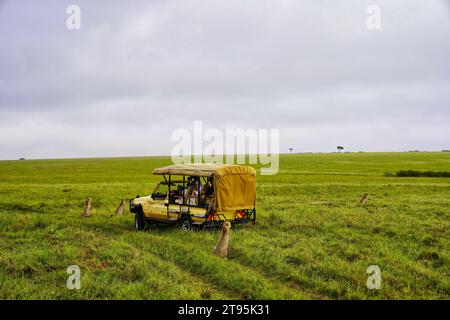 Maasai Mara, Kenya, 23-décembre-2020 - les touristes en safari profitent d'une rencontre rapprochée avec les guépards dans la réserve de chasse Maasai Mara au Kenya, en Afrique Banque D'Images