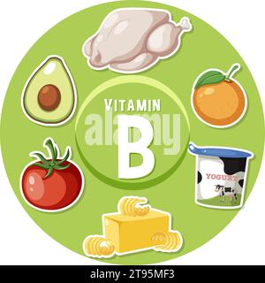 Apprenez-en plus sur les aliments riches en vitamine B dans cette affiche éducative Illustration de Vecteur