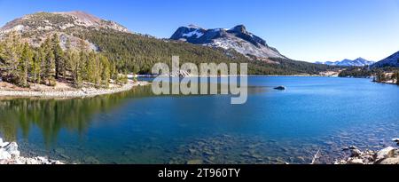 Lac Tioga transparent Clear Blue Water Dana Granite Mountain Peak. Panorama panoramique de paysage d'automne de Sierra Nevada Parc national de Yosemite, Californie Banque D'Images