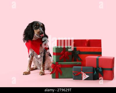 Cute cocker spaniel avec des cadeaux de Noël sur fond rose Banque D'Images