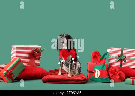 Cute cocker spaniel avec des cadeaux de Noël sur fond vert Banque D'Images