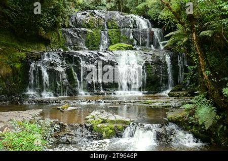 joli purakanui tombe dans une forêt de hêtres argentés et de podocarpes dans la région côtière de catlins dans le southland, sur l'île sud de la nouvelle-zélande Banque D'Images