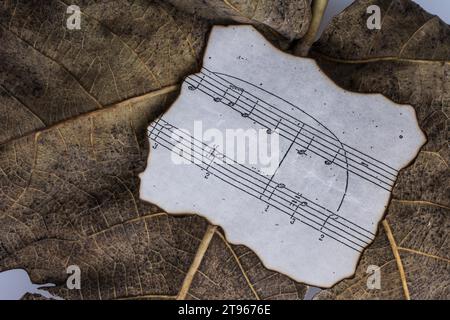 Vue macro d'une feuille sèche avec du papier et des notes musicales de la saison d'automne Banque D'Images