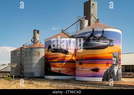 Hydravion Silo Art par Tim Bowtell, Lake Boga, Victoria, Australie Banque D'Images