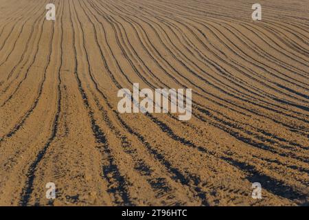 Champs de terre noire pour les rangées labourées, plantées et hilling. Texture au sol. Banque D'Images