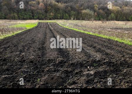 Champs de terre noire pour les rangées labourées, plantées et hilling. Texture au sol. Banque D'Images