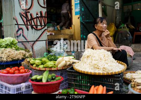 Hanoi, Vietnam - 9 novembre 2023 : une femme est vue vendre de la nourriture et des légumes dans un marché de rue dans les rues de Hanoi. L'économie vietnamienne est l'une des plus dynamiques d'Asie, mais un environnement extérieur difficile et une demande intérieure plus faible ont entraîné un ralentissement de l'économie vietnamienne, avec une croissance de 4,7 % en 2023 contre 8 % en 2022, tandis que l'industrie du tourisme continue de croître, avec plus de 10 millions de visiteurs prévus pour 2023, ce qui en fait la destination la plus populaire en Asie du Sud-est après la Thaïlande. (Photo Davide Bonaldo/Sipa USA) Banque D'Images