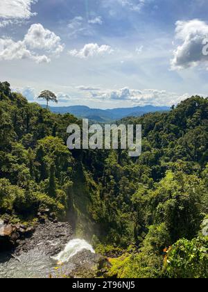 Montagne avec jungle et cascades. Forêt verte tropicale à Mindanao, Philippines. Banque D'Images
