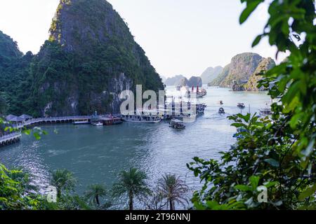 Baie de Ha long, Vietnam - 11 novembre 2023 : bateaux touristiques et croisières sont vus dans la célèbre baie de Ha long, l'un des points chauds touristiques les plus populaires du Vietnam. L'économie vietnamienne est l'une des plus dynamiques d'Asie, mais un environnement extérieur difficile et une demande intérieure plus faible ont entraîné un ralentissement de l'économie vietnamienne, avec une croissance de 4,7 % en 2023 contre 8 % en 2022, tandis que l'industrie du tourisme continue de croître, avec plus de 10 millions de visiteurs prévus pour 2023, ce qui en fait la destination la plus populaire en Asie du Sud-est après la Thaïlande. (Photo Davide Bonaldo/Sipa USA) Banque D'Images