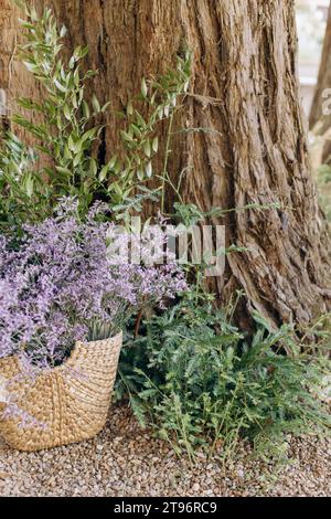 Panier en osier avec des fleurs de forêt et des herbes se dresse sur le gravier près du tronc du grand vieil arbre. Banque D'Images