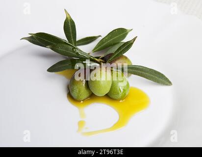 Composition d'olives vertes fraîches savoureuses dans une assiette blanche en céramique encadrée par des branches d'olivier et de l'huile d'olive Banque D'Images