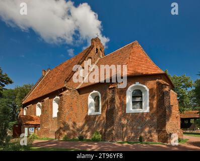 Église Saint-Jacques, gothique tardif, 16e siècle, dans la ville de Mogilno, Kujawsko-Pomorskie, Pologne Banque D'Images