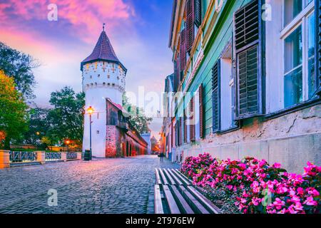 Sibiu, Roumanie. Tour médiévale des charpentiers. Transylvanie célèbre destination. Banque D'Images