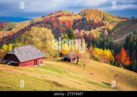 Montagnes des Carpates. Belles couleurs d'automne paysage pittoresque à Moeciu, Rucar-Bran région touristique Roumanie. Banque D'Images