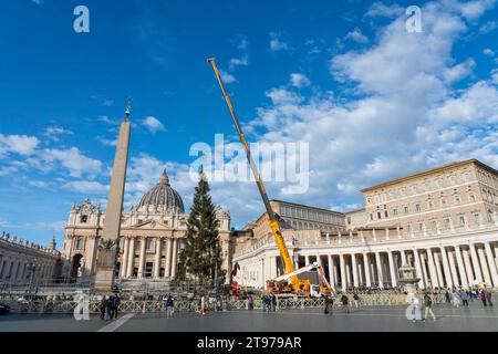 Vatican, Vatican. 23 novembre 2023. Levage et placement de l'arbre à St. Peter's Square. Arrivée et levage de l'arbre de Noël, arrivé de la haute vallée Maira, dans la municipalité de Macra, dans le diocèse de Saluzzo et la province de Cuneo, Italie, à St. Peter's Square. (Photo Stefano Costantino/SOPA Images/Sipa USA) crédit : SIPA USA/Alamy Live News Banque D'Images