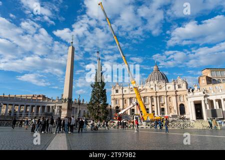 Vatican, Vatican. 23 novembre 2023. Levage et placement de l'arbre à St. Peter's Square. Arrivée et levage de l'arbre de Noël, arrivé de la haute vallée Maira, dans la municipalité de Macra, dans le diocèse de Saluzzo et la province de Cuneo, Italie, à St. Peter's Square. (Photo Stefano Costantino/SOPA Images/Sipa USA) crédit : SIPA USA/Alamy Live News Banque D'Images