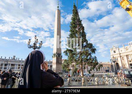 Vatican, Vatican. 23 novembre 2023. Une nonne assiste à l'arrivée de l'arbre à St. Peter's Square. Arrivée et levage de l'arbre de Noël, arrivé de la haute vallée Maira, dans la municipalité de Macra, dans le diocèse de Saluzzo et la province de Cuneo, Italie, à St. Peter's Square. (Photo Stefano Costantino/SOPA Images/Sipa USA) crédit : SIPA USA/Alamy Live News Banque D'Images