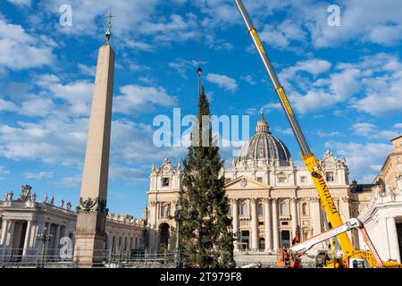 Vatican, Vatican. 23 novembre 2023. Levage et placement de l'arbre à St. Peter's Square. Arrivée et levage de l'arbre de Noël, arrivé de la haute vallée Maira, dans la municipalité de Macra, dans le diocèse de Saluzzo et la province de Cuneo, Italie, à St. Peter's Square. (Photo Stefano Costantino/SOPA Images/Sipa USA) crédit : SIPA USA/Alamy Live News Banque D'Images