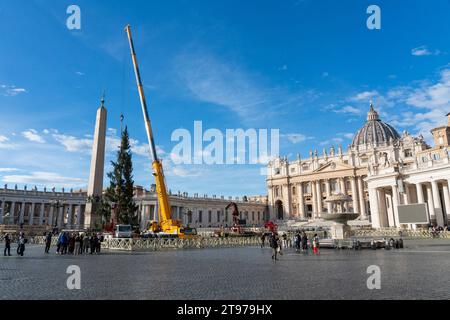 Vatican, Vatican. 23 novembre 2023. Levage et placement de l'arbre à St. Peter's Square. Arrivée et levage de l'arbre de Noël, arrivé de la haute vallée Maira, dans la municipalité de Macra, dans le diocèse de Saluzzo et la province de Cuneo, Italie, à St. Peter's Square. (Photo Stefano Costantino/SOPA Images/Sipa USA) crédit : SIPA USA/Alamy Live News Banque D'Images