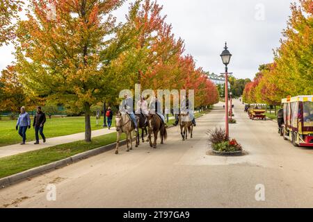 Où cheval est roi. Les touristes montent à cheval le long de Cadotte Avenue. Mackinac Island est une île sans voiture. En juillet 1898, le conseil du village a décidé que la conduite de voitures sans cheval dans les limites du village de Mackinac était interdite. Trafic calme entre la ville portuaire et le Grand Hôtel de Mackinac Island, États-Unis Banque D'Images