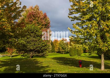 Bois au Grand Hotel Mackinac Island. Arbres aux couleurs automnales et une petite bouche d'eau rouge sur le pré. Été indien dans le parc de Mackinac Island. Mackinac Island, Michigan, États-Unis Banque D'Images