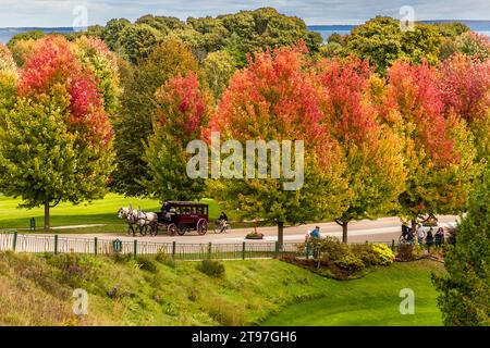 Calèche tirée par des chevaux et arbres aux couleurs automnales vives sur Cadotte Avenue. L'allée menant au Grand Hôtel Mackinac Island. Les véhicules à moteur ne sont pas autorisés sur l'île Mackinac. Par conséquent, le transport est le principal moyen de transport. Mackinac Island, Michigan, États-Unis Banque D'Images