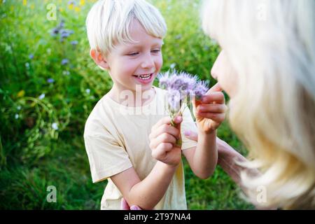 Petit-fils souriant regardant la fleur avec grand-mère dans le champ Banque D'Images