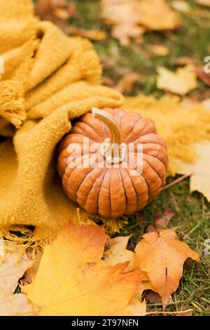 Citrouille avec écharpe sur l'herbe près des feuilles d'érable dans le parc d'automne Banque D'Images