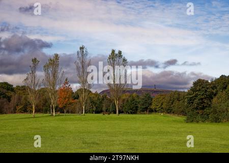Une zone de prairies ouvertes avec une ligne d'arbres et une vallée boisée au-delà avec des collines au loin à Burrs Country Park, Bury, Greater Manchester. Banque D'Images