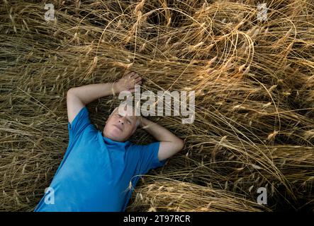 Homme âgé couché dans un champ de blé Banque D'Images