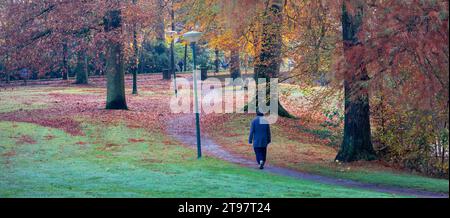 l'homme marche à travers le parc d'automne coloré avec des feuilles tombées près d'utrecht aux pays-bas Banque D'Images